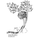Planten met bladeren lijn vector illustratie